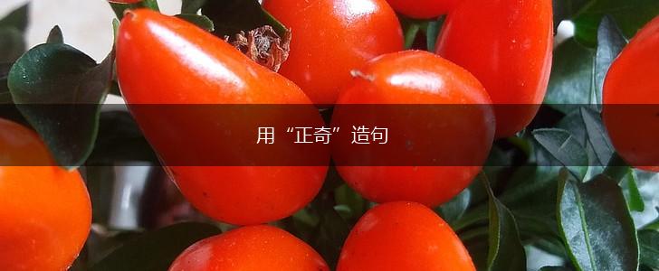 用“正奇”造句,第1张