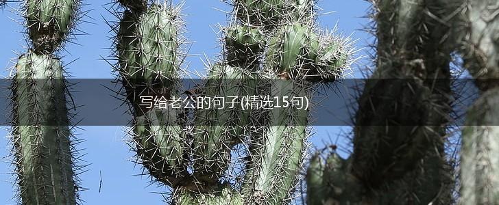 写给老公的句子(精选15句),第1张