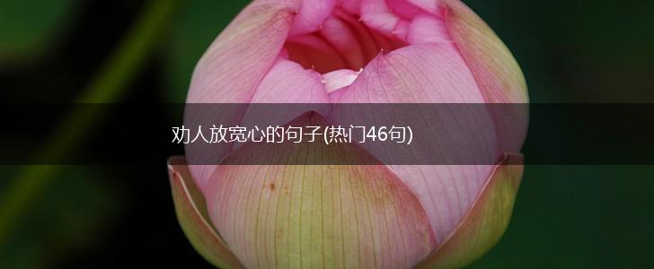 劝人放宽心的句子(热门46句),第1张