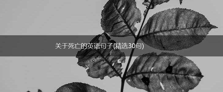 关于死亡的英语句子(精选30句),第1张