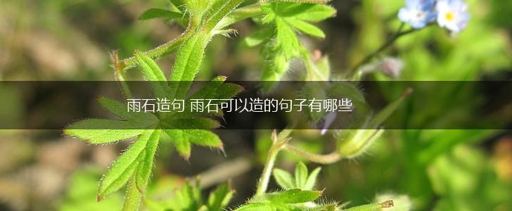 雨石造句 雨石可以造的句子有哪些,第1张