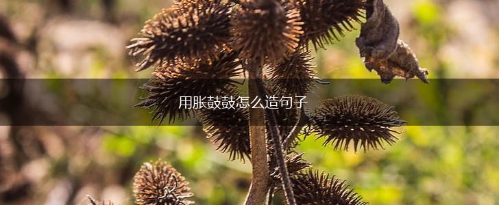 用胀鼓鼓怎么造句子,第1张