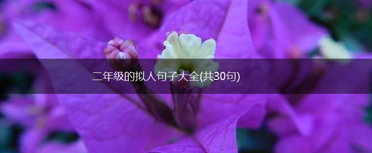 二年级的拟人句子大全(共30句),第1张