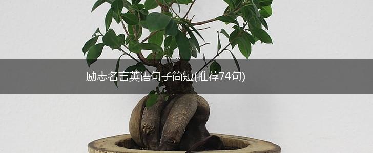 励志名言英语句子简短(推荐74句),第1张