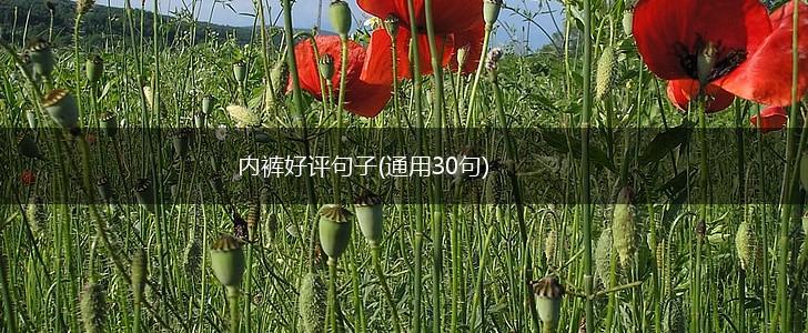 内裤好评句子(通用30句),第1张