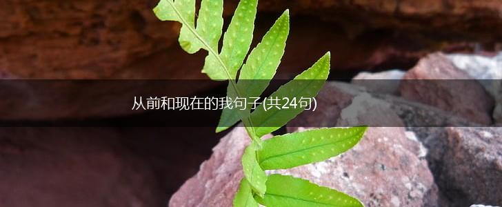 从前和现在的我句子(共24句),第1张