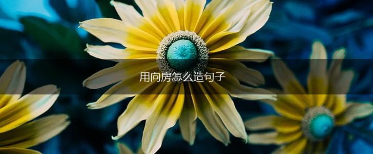 用向房怎么造句子,第1张