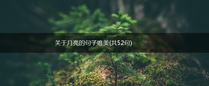 关于月亮的句子唯美(共52句),第1张
