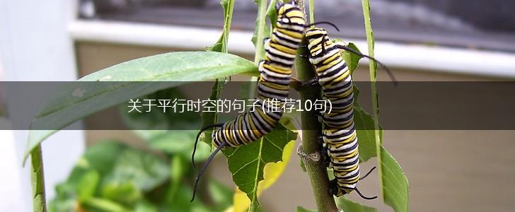 关于平行时空的句子(推荐10句),第1张