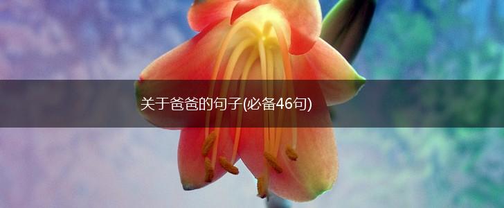 关于爸爸的句子(必备46句),第1张