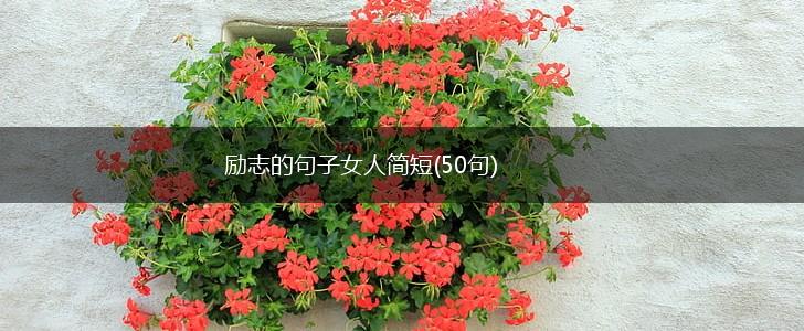 励志的句子女人简短(50句),第1张