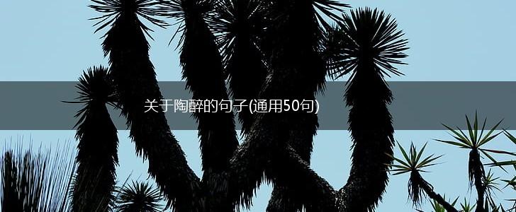 关于陶醉的句子(通用50句),第1张