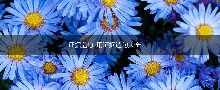 证据造句_用证据造句大全,第1张