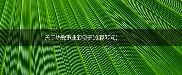 关于热爱事业的句子(推荐50句),第1张