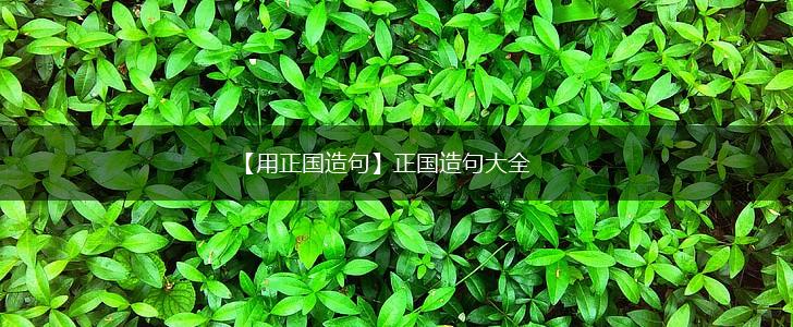【用正国造句】正国造句大全,第1张