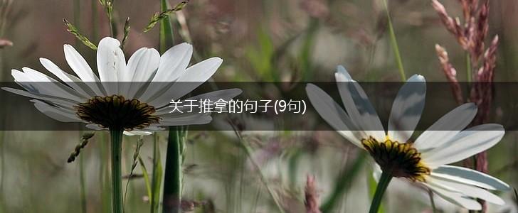 关于推拿的句子(9句),第1张