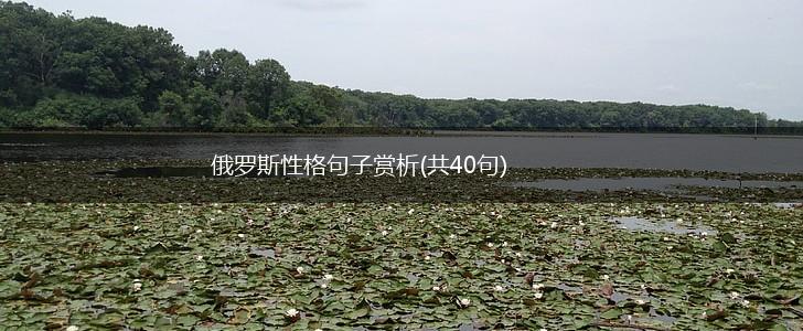 俄罗斯性格句子赏析(共40句),第1张