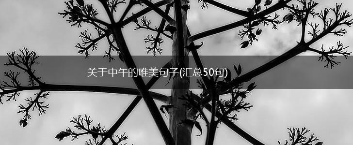 关于中午的唯美句子(汇总50句),第1张
