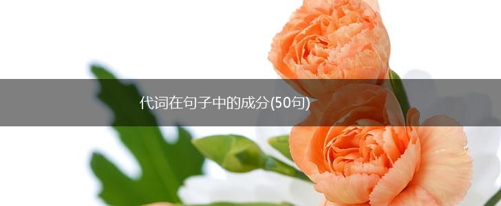 代词在句子中的成分(50句),第1张