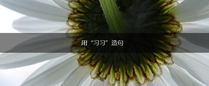 用“习习”造句,第1张