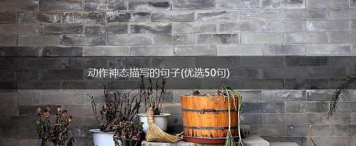 动作神态描写的句子(优选50句),第1张