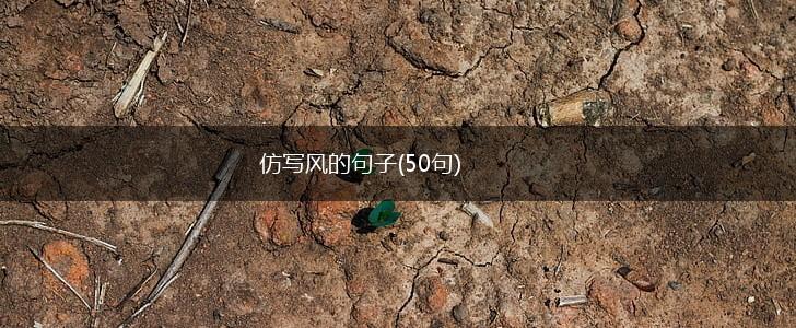 仿写风的句子(50句),第1张