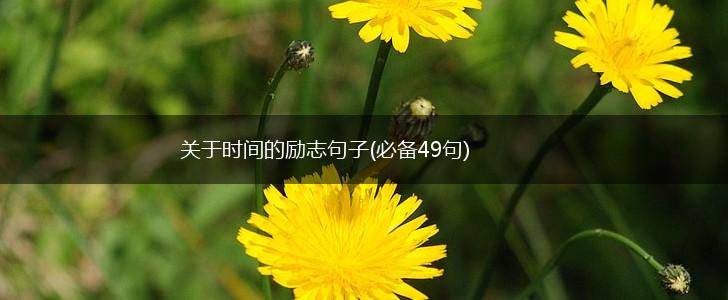 关于时间的励志句子(必备49句),第1张