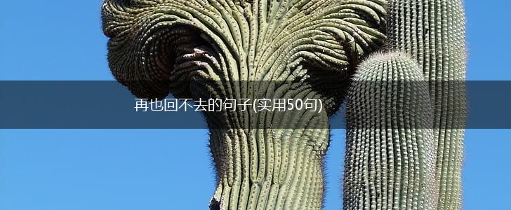 再也回不去的句子(实用50句),第1张