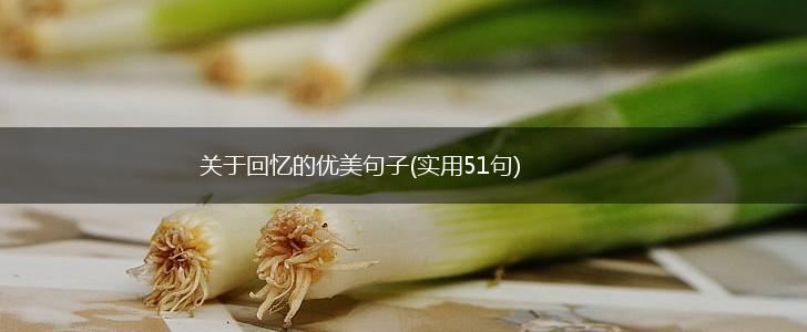 关于回忆的优美句子(实用51句),第1张