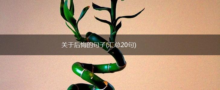 关于后悔的句子(汇总20句),第1张