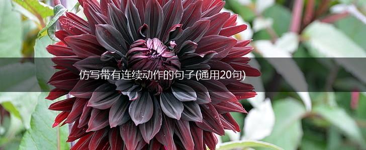 仿写带有连续动作的句子(通用20句),第1张