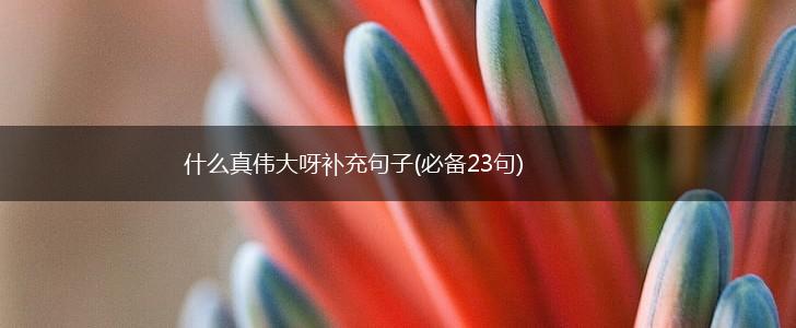 什么真伟大呀补充句子(必备23句),第1张