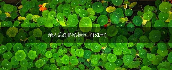 亲人病逝的心情句子(51句),第1张