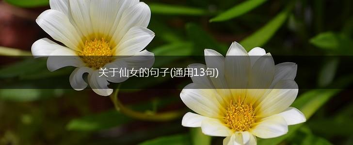 关于仙女的句子(通用13句),第1张