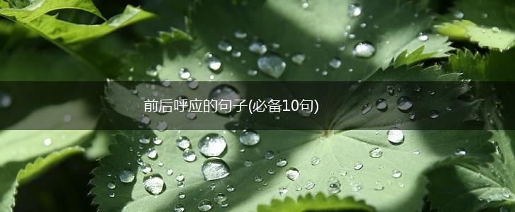 前后呼应的句子(必备10句),第1张