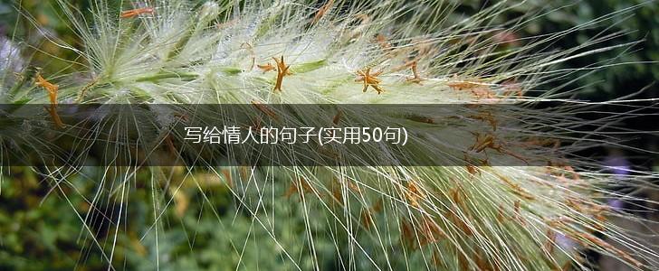 写给情人的句子(实用50句),第1张
