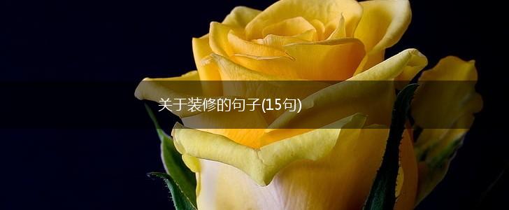 关于装修的句子(15句),第1张