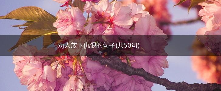 劝人放下仇恨的句子(共50句),第1张