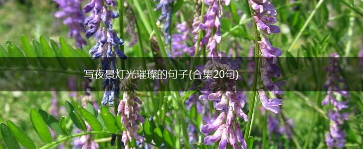 写夜景灯光璀璨的句子(合集20句),第1张