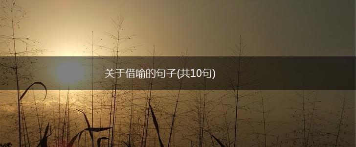 关于借喻的句子(共10句),第1张