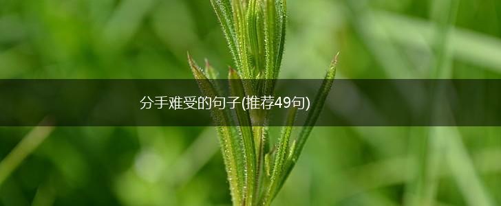 分手难受的句子(推荐49句),第1张