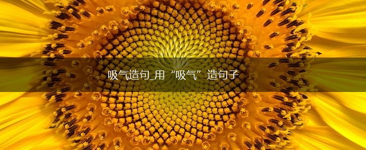 吸气造句_用“吸气”造句子,第1张