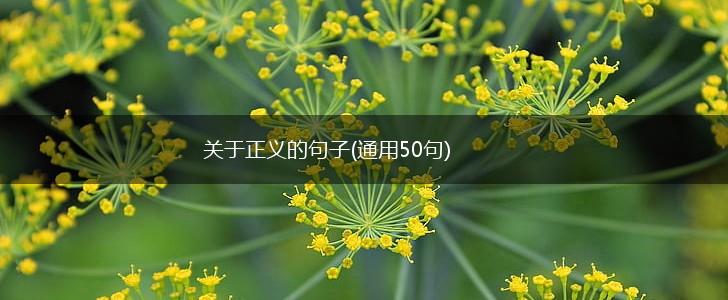 关于正义的句子(通用50句),第1张