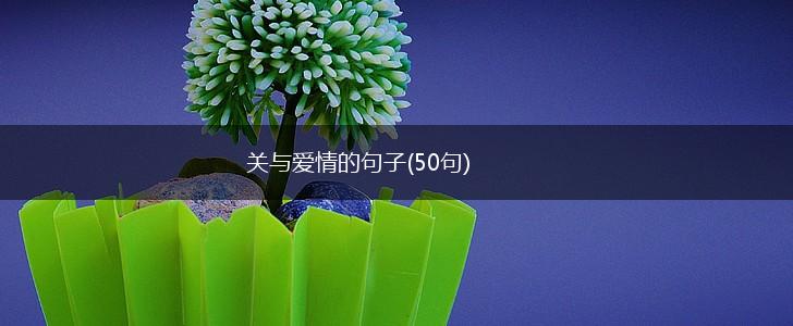 关与爱情的句子(50句),第1张