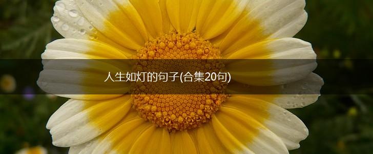 人生如灯的句子(合集20句),第1张