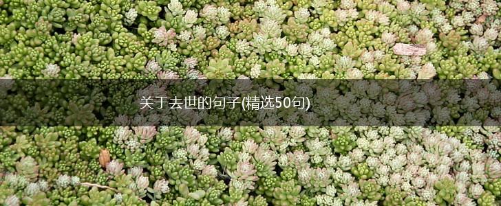 关于去世的句子(精选50句),第1张
