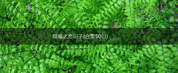倾城之恋句子(合集50句),第1张