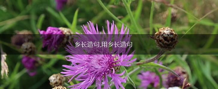 乡长造句,用乡长造句,第1张