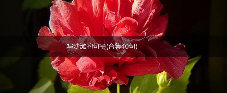 写沙滩的句子(合集40句),第1张
