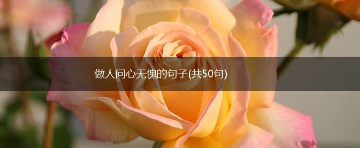 做人问心无愧的句子(共50句),第1张